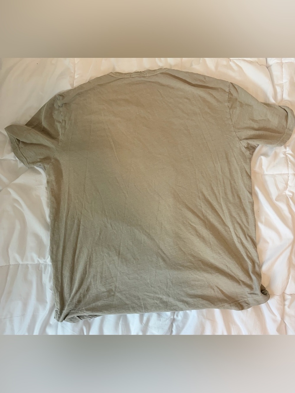 Buck Mason Mens Size Large Slub Cotton Curved Hem Crewneck Tee Tan Olive USA - Picture 4 of 5